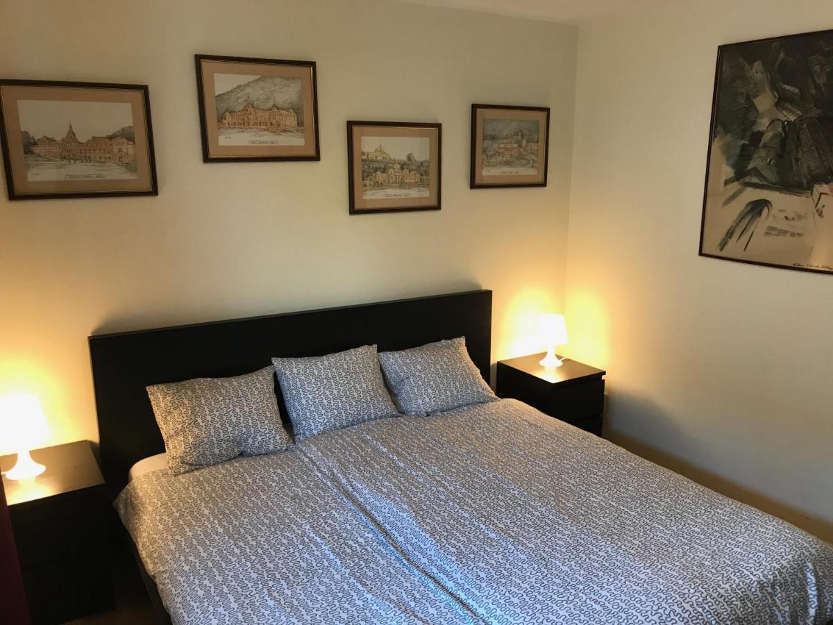 Lovely & Cozy Apartment Синая Экстерьер фото